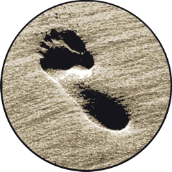 FOOTPRINT